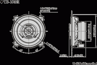 Pioneer TS-1002i