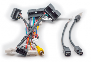 Carav 22-815