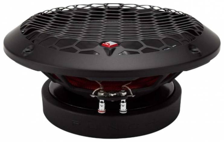 Rockford Fosgate PPS4-10