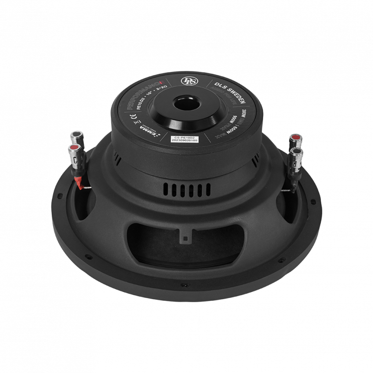 DLS PE10.D2