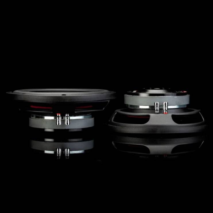 Gladen RSX 10 Slim D-2