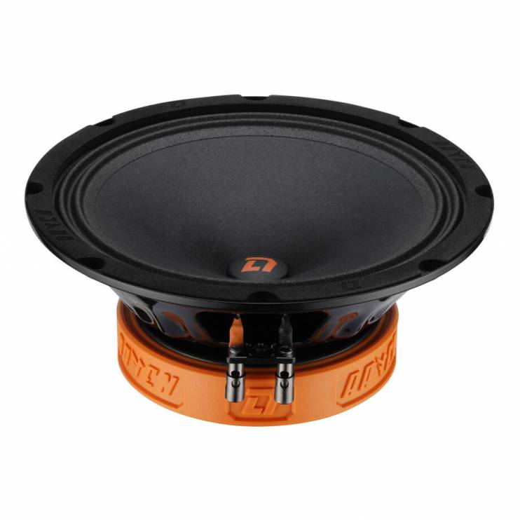 DL Audio Raven 200 V.2