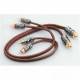 Focal CABEY05